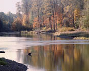 Fishin, Yacolt, Washington