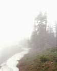 Foggy Ridge, Mount Rainier National Park, Washington