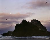 Oceanside Bird Convention, Oceanside, Oregon