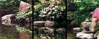 Spring Garden Reflection, Portland, Oregon