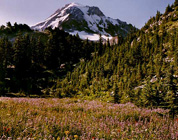Mount Hood,Cairn Basin, Hood River, Oregon