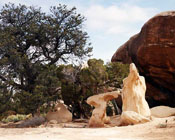 Sandstone Sculpture, Moab, Utah